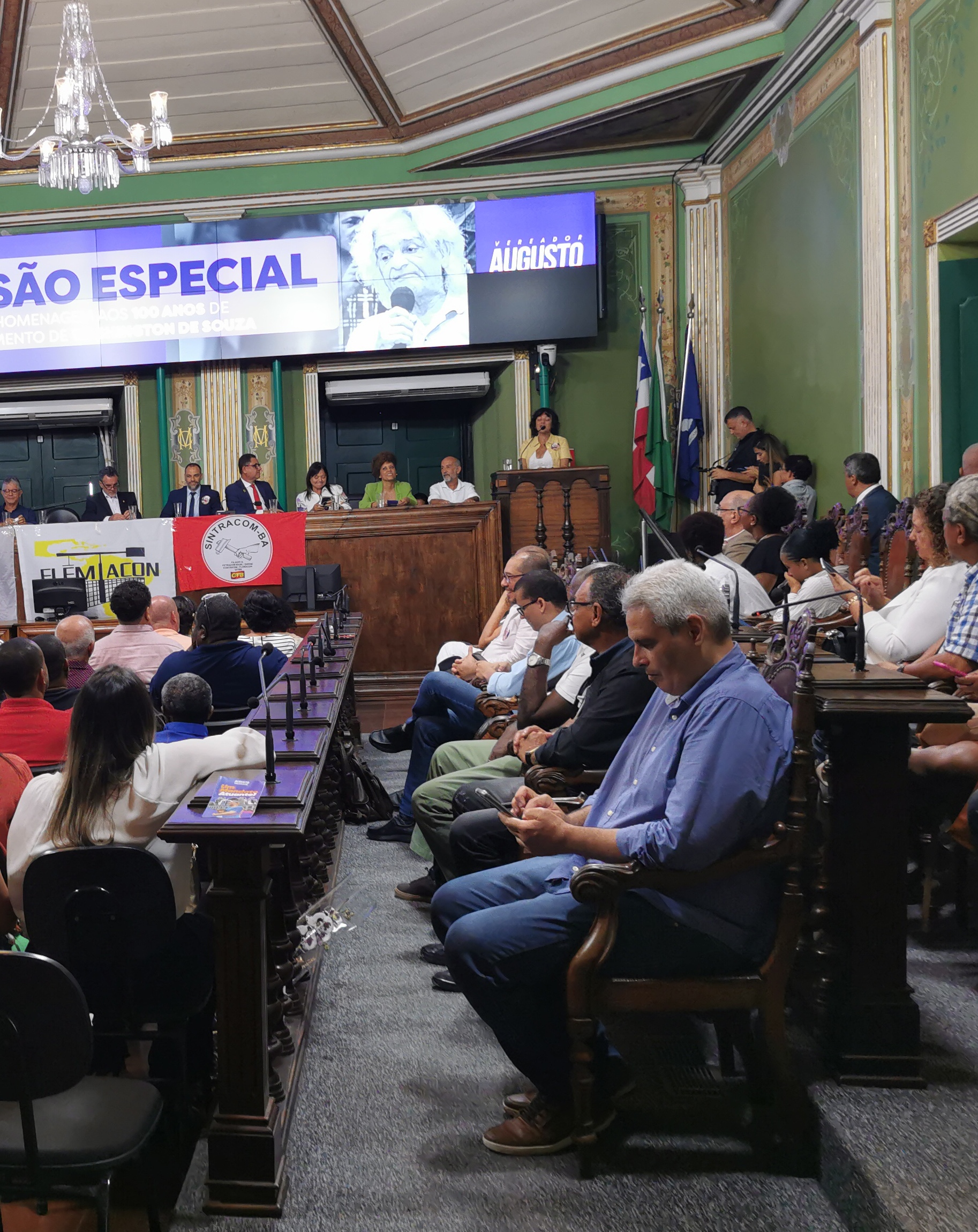 Fotos Audiência Pública em homenagem aos 100 anos de Washington de Souza