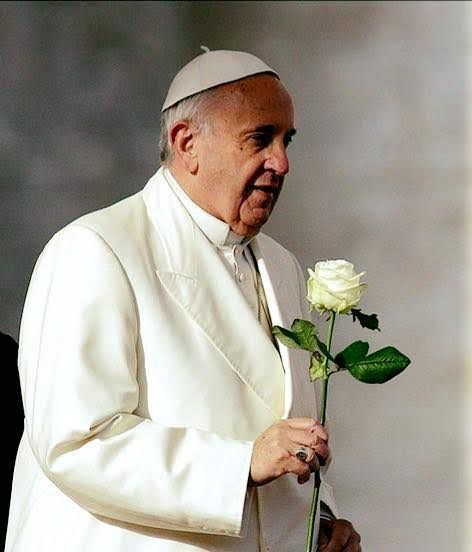Mensagem de despedida ao Papa Francisco